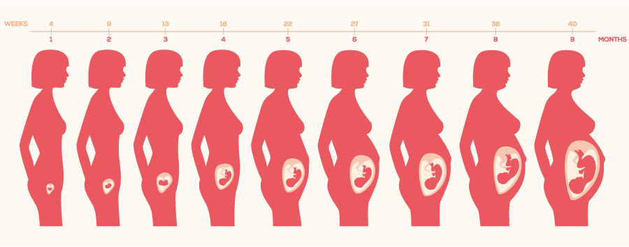 妊婦さんの体の変化